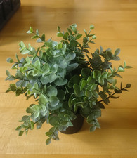 Ikea fejka künstliche gebraucht kaufen Ikea fejka künstliche gebraucht kaufen  Grasberg