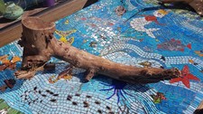Ast naturholz holz gebraucht kaufen  Oberasbach