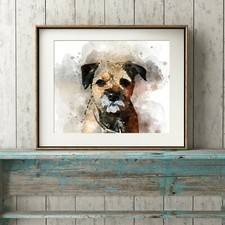 Border terrier dog for sale  STOURBRIDGE