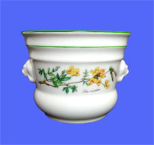 übertopf blumentopf seltmann gebraucht kaufen  Waakirchen