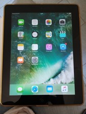 Apple ipad display usato  Villamiroglio