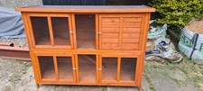 Pets home bluebell for sale  STAFFORD