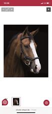 Horseware trense micklem gebraucht kaufen  Münsing