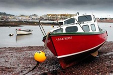 Pleasure boat shaldon for sale  READING