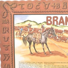1970s farm cattle for sale  Cary