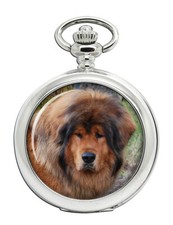 Tibetano mastino orologio usato  Spedire a Italy