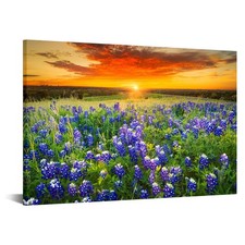 Texas sunset picture for sale  Brentwood
