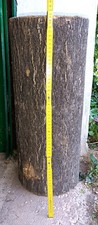 Tronco pino essicato usato  Verona