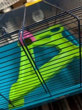 Hamster cage metal for sale  BIRMINGHAM