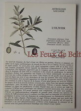 Carte postale astrologie d'occasion  Beaumont-de-Lomagne