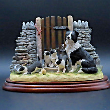 Border collie dogs for sale  CHESTERFIELD