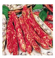Premier seeds direct for sale  SALISBURY