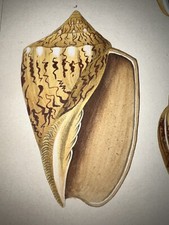 1837 martini hand for sale  Lanexa