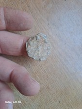 Decorated medieval lead for sale  NOTTINGHAM
