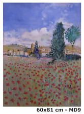 Paesaggio campagna spagnolo usato  Torino
