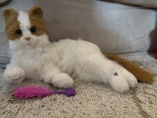 Furreal friends cat for sale  Wausau