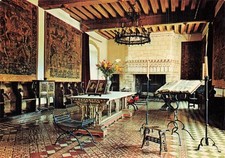 Langeais grand salon d'occasion  France
