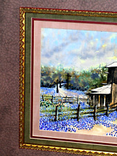 Bluebonnet landscape stormy for sale  Houston