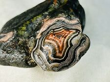 Fairburn agate grassland for sale  Minneapolis