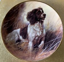 Dog springer spaniel for sale  DERBY