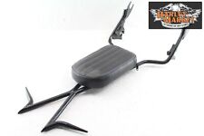 Sissybar harley davidson usato  Italia