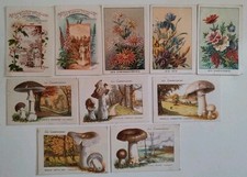 Chromos anciens images d'occasion  Soyaux