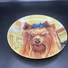 Yorkshire terrier yorkie for sale  Mandeville