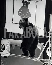 Vintage animali giappone usato  Roma
