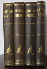 Standard bound british for sale  CRAMLINGTON