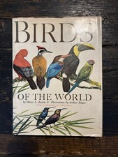 Birds oliver l.austin for sale  RAMSGATE