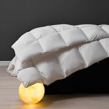 Dwr piuma oca usato  Castel San Giovanni