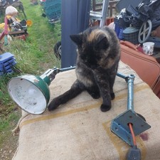 Dugdills vintage engineers for sale  NORWICH