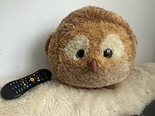 Owl large gigantic for sale  CHELTENHAM