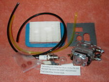 Carburetor filter echo for sale  Taylor