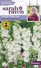 Larkspur white king for sale  NEWMARKET