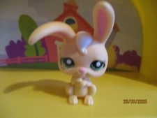 Petshop lapin garenne d'occasion  Saint-Omer