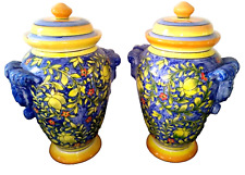 Coppia vasi ceramica usato  Santa Marinella