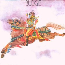 Budgie value guaranteed for sale  STOCKPORT