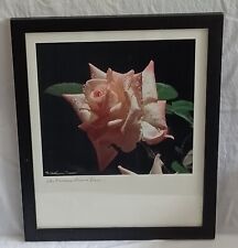 Original framed photograph for sale  Mooresville