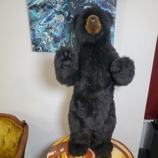 Ditz designs inch for sale  Scottsbluff