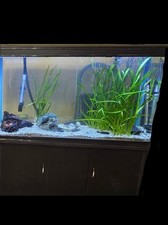 Aquarium 300l fishtank for sale  HAVANT