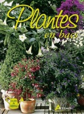 Plantes bacs tanja d'occasion  Hennebont