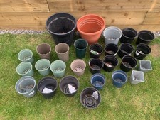 Large plastic plant for sale  DARLINGTON