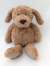 puppy teddy for sale puppy teddy for sale BEDFORD