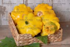 Squash patisson orange for sale  SALISBURY
