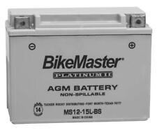 Bikemaster agm platinum d'occasion  Expédié en Belgium