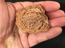 Barite rose oklahoma for sale  Sparta