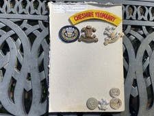 Cheshire yeomanry cap for sale  NEWTOWNARDS