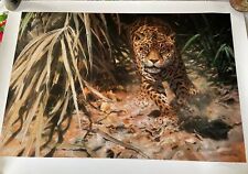 1996 clearing jaguar for sale  Marion