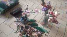 Lego botanique 10280 d'occasion  Mérignac